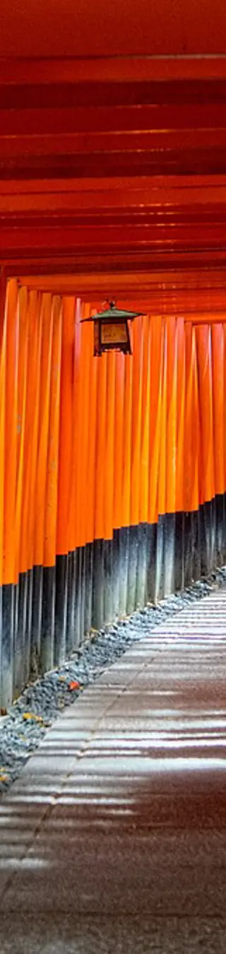 Laufe durch die Torii des Fushimi Inari-Taisha Schrein